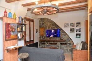 Smart TV, fireplace, books