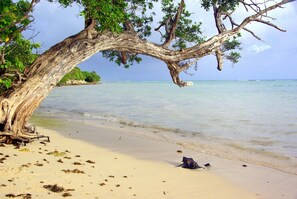 Beach nearby