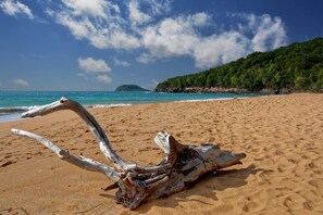 Una playa con madera a la deriva y una vista despejada del océano y una isla distante.