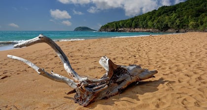 F2 apartment near the sea