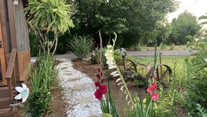 A garden pathway with stepping stones, surrounded by various plants and flowers. - Mule Town Cottage, Historic Columbia TN. 3BR/2BA (Columbia)