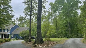 A residential area with a blue house, a driveway, and a forested background. - Wandering Bear’s Den Private Studio Near Crozet and Charlottesville (Charlottesville)