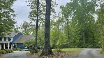 Exterieur