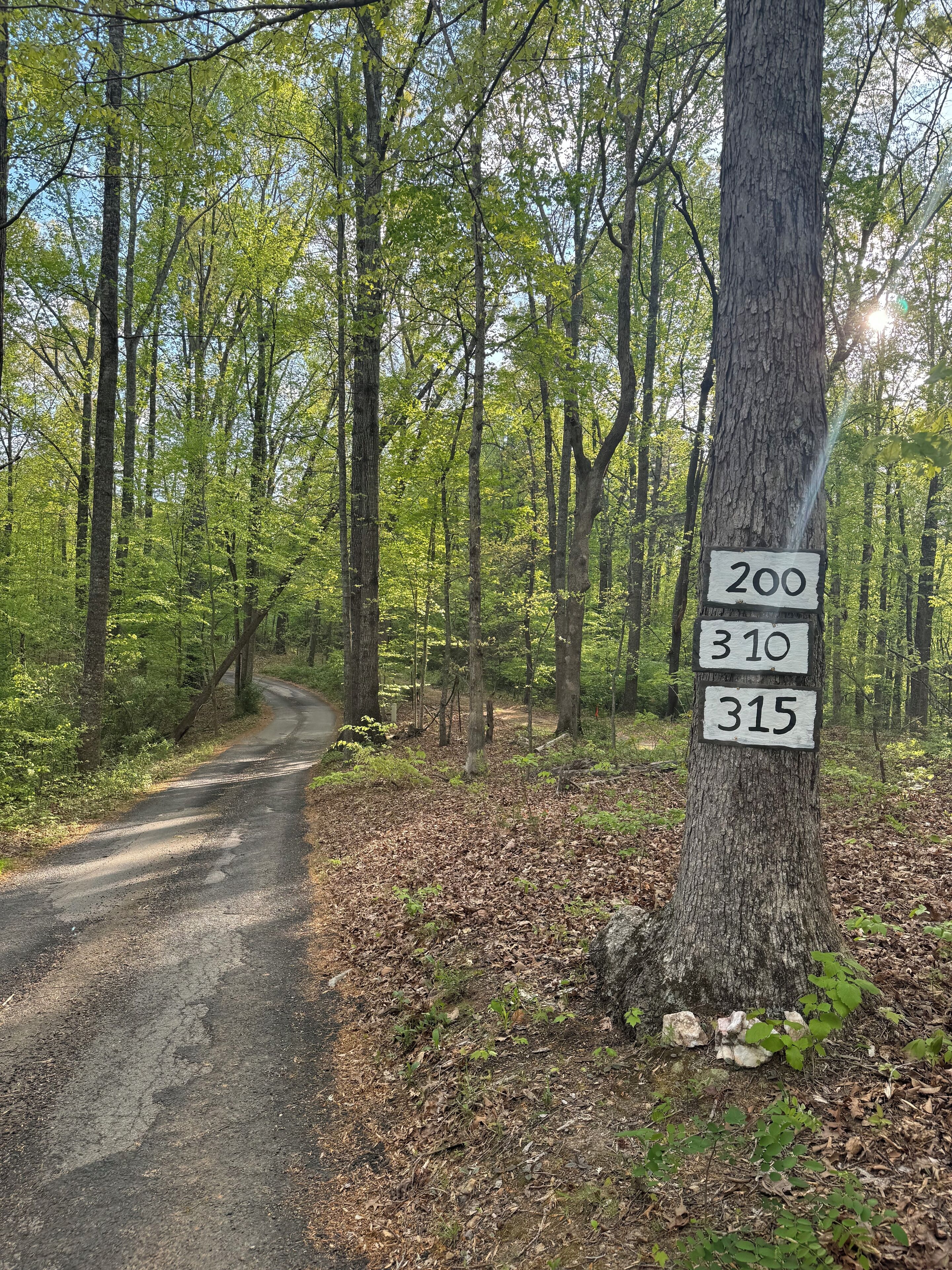 A forested area with a dirt path and numbered signs on a tree.