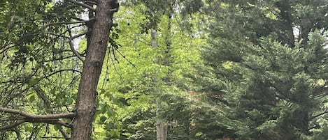 住宿场地