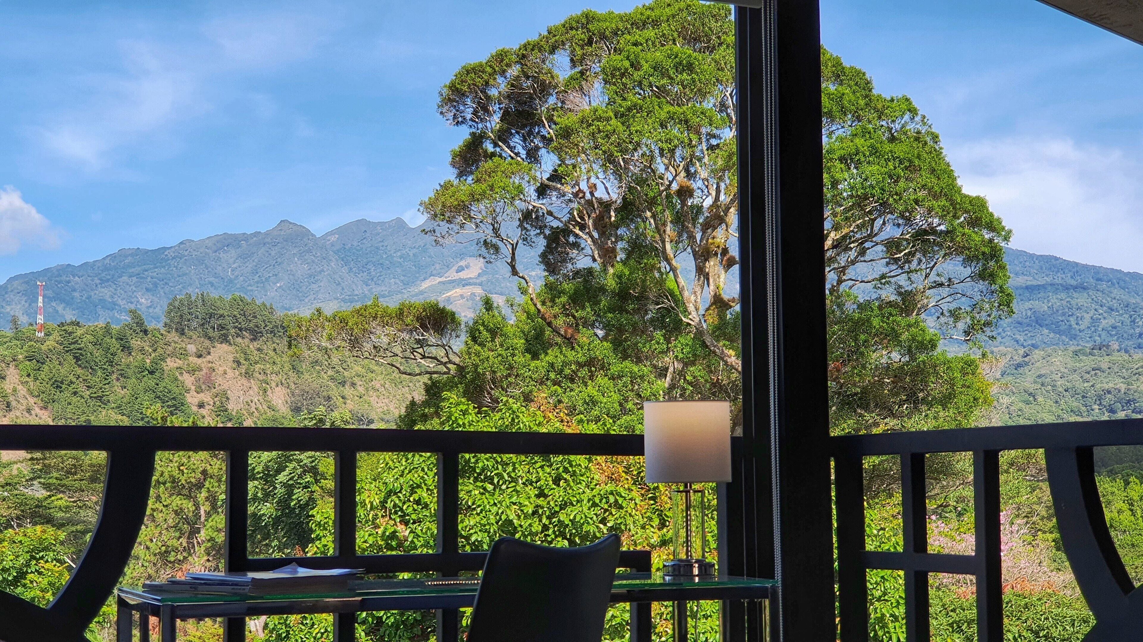 奢华开间套房 | 起居区