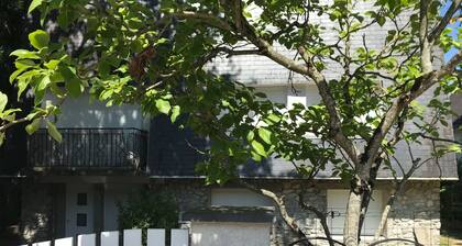 T3 cosy, grand jardin, Ă 200 m de parc St Nicolas, parkings, Wifi THD, Angers