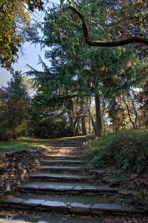 A stone staircase leading up a hill in a wooded area.