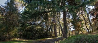 Cosy T3, large garden, 200 m from Parc St Nicolas, parking, Wifi THD, Angers