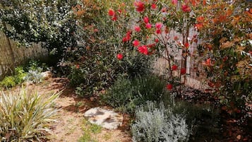 Overnatningsstedets område