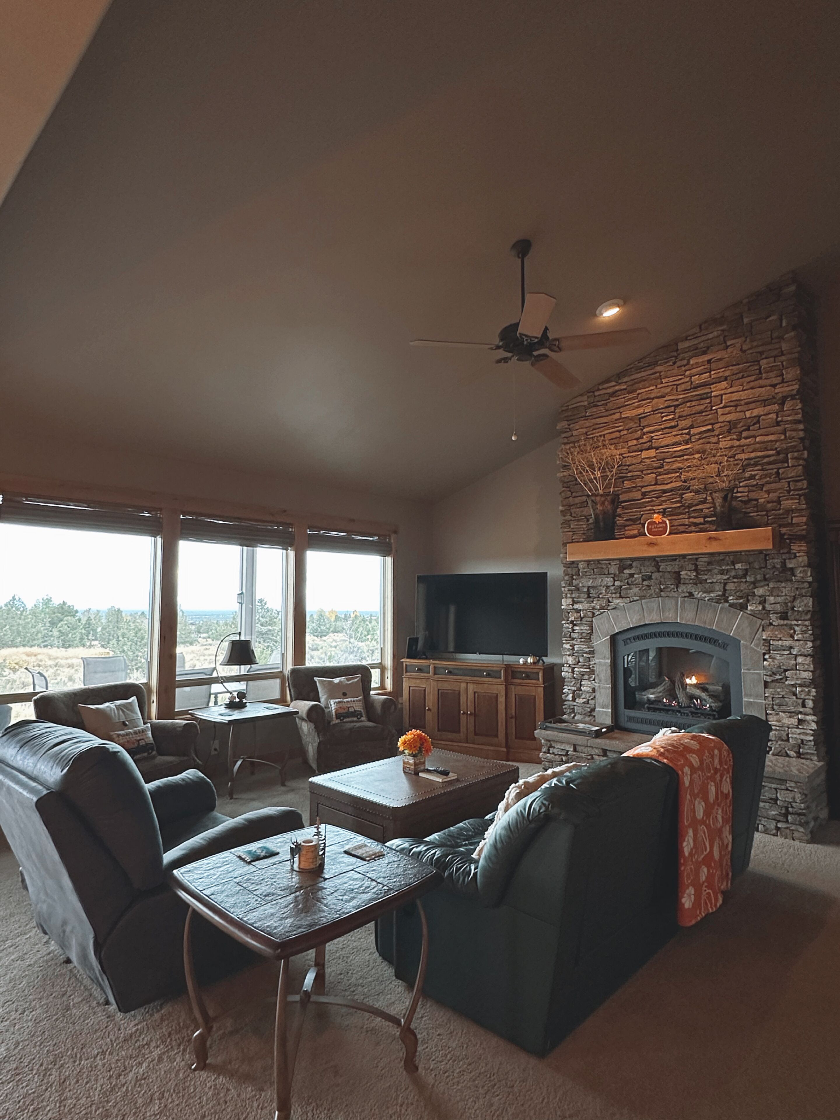 Smart TV, fireplace, video games, DVD player