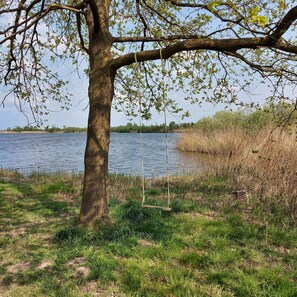Chaises longues, serviettes de plage