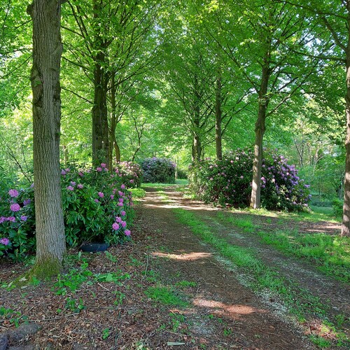 Nous avons beaucoup de clients Allemands