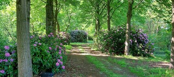 Nous avons beaucoup de clients Allemands