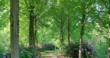 Nous avons beaucoup de clients Allemands