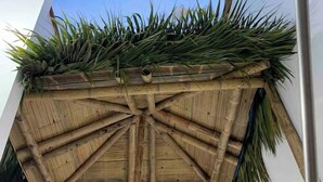 A corner of a building with a bamboo structure and green plants.