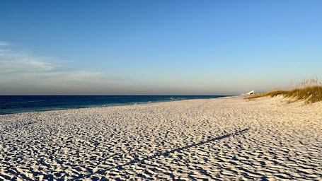 Beach nearby, sun-loungers, beach towels. Modern 4BR Retreat • Walk to Beach • Private King Suites • Pet-Friendly