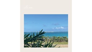 Miscellaneous - A seaview cocoon (Saint martin)