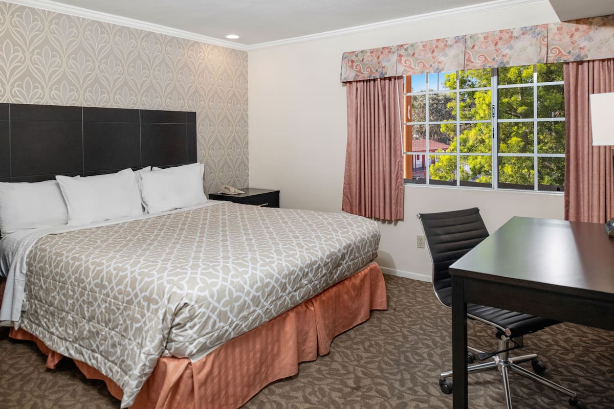 A hotel room with a large bed, a desk with a chair, a window with curtains, and a patterned carpet.