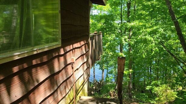 Una cabaña de madera con ventana que da a un área boscosa y un cuerpo de agua.