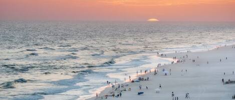 Plage à proximité, chaises longues, serviettes de plage