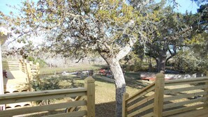 A wooden deck with a railing, a tree, and a grassy area with benches and a picnic table. - CanalHouse Private Large Home on Canal Front (Ocracoke)