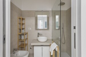 Shower, hair dryer, bidet, towels