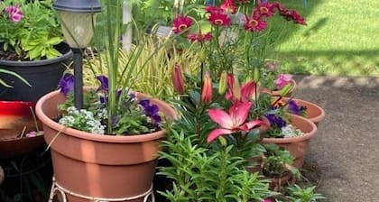 Crossroads Country Cottage