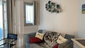 Un salon avec un canapé gris, une table basse en verre, un fauteuil noir et une fenêtre avec des rideaux.