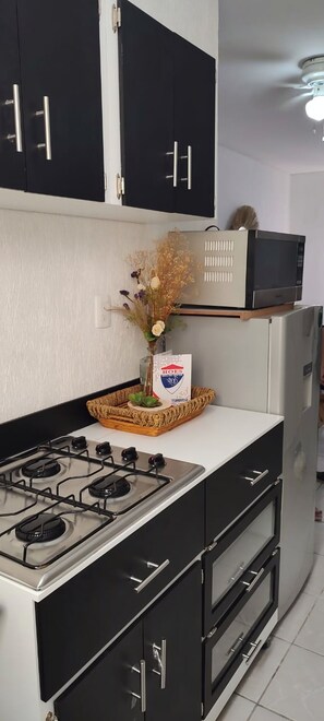 Réfrigérateur, micro-ondes, plaque de cuisson