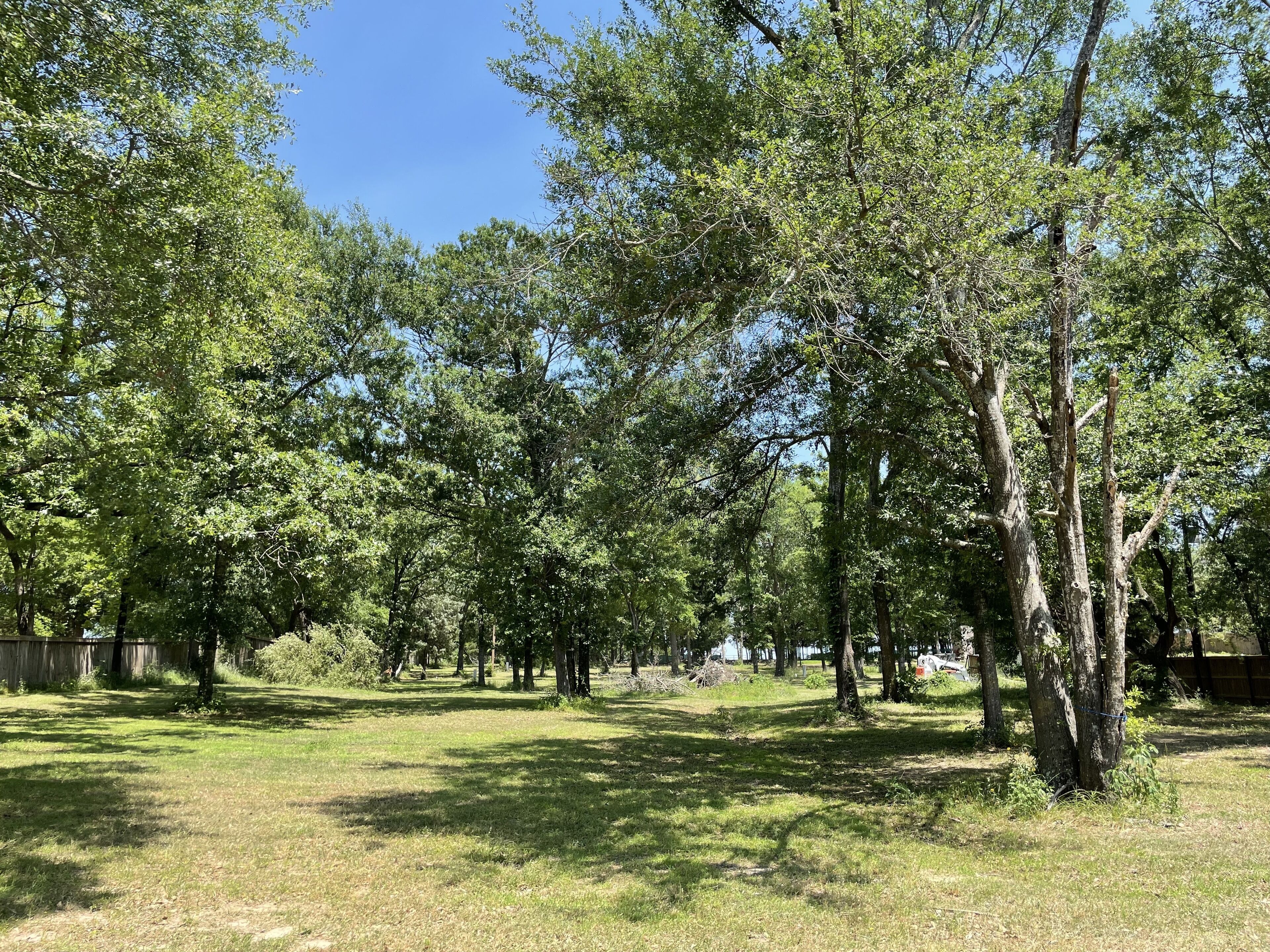 A park with trees and grass.