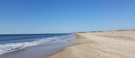 Praia | Perto da praia 