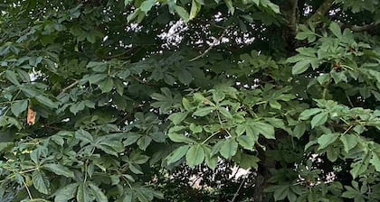 Maison aux cœur de la Brière!