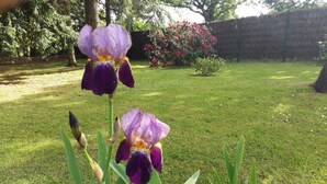 Un jardín con dos iris morados y un arbusto de flores rojas.