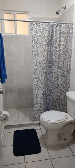 Shower, towels, toilet paper