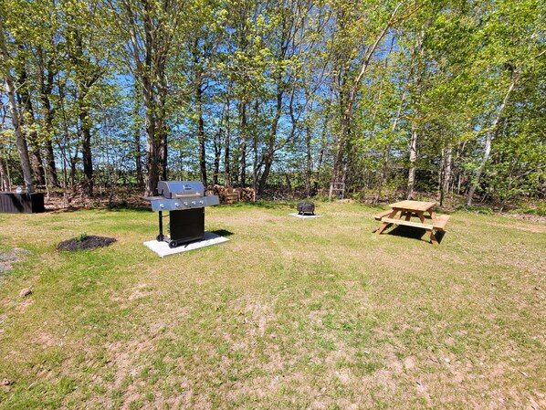 A backyard with a barbecue grill, a picnic table, and a fire pit.