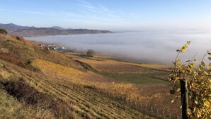 Een landelijk landschap met glooiende heuvels, een vallei en een waterlichaam, deels verborgen door mist.