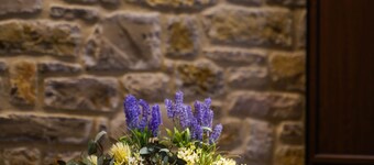 House Maximo Puertomingalvo