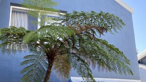 A modern building with a blue exterior, large windows, and a tree in front. - Broadwater Beach Villa | Pool, Spa & Tennis (Broadwater)