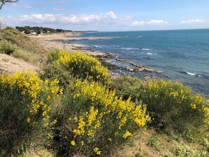 Plage à proximité