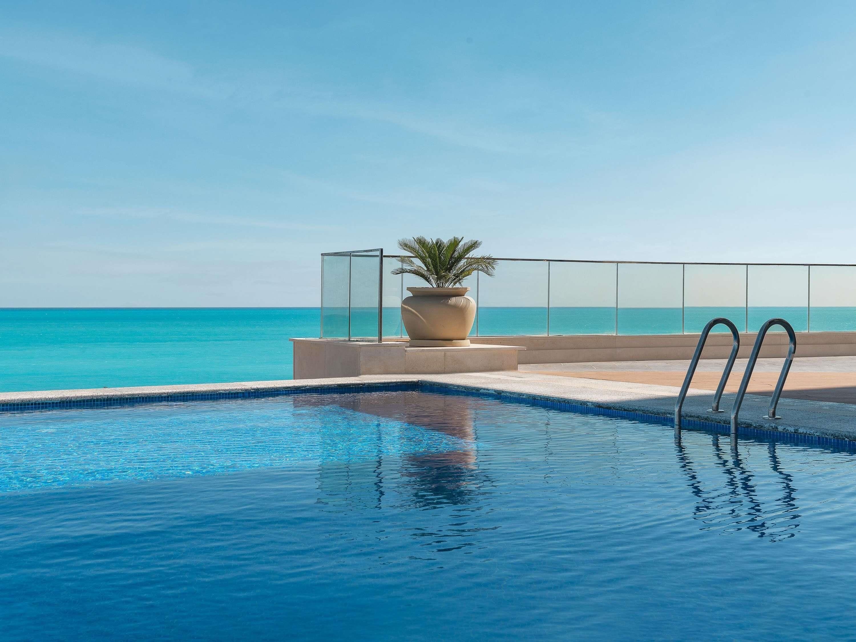 Una piscina con agua cristalina azul, una planta de palmera y vistas al océano.