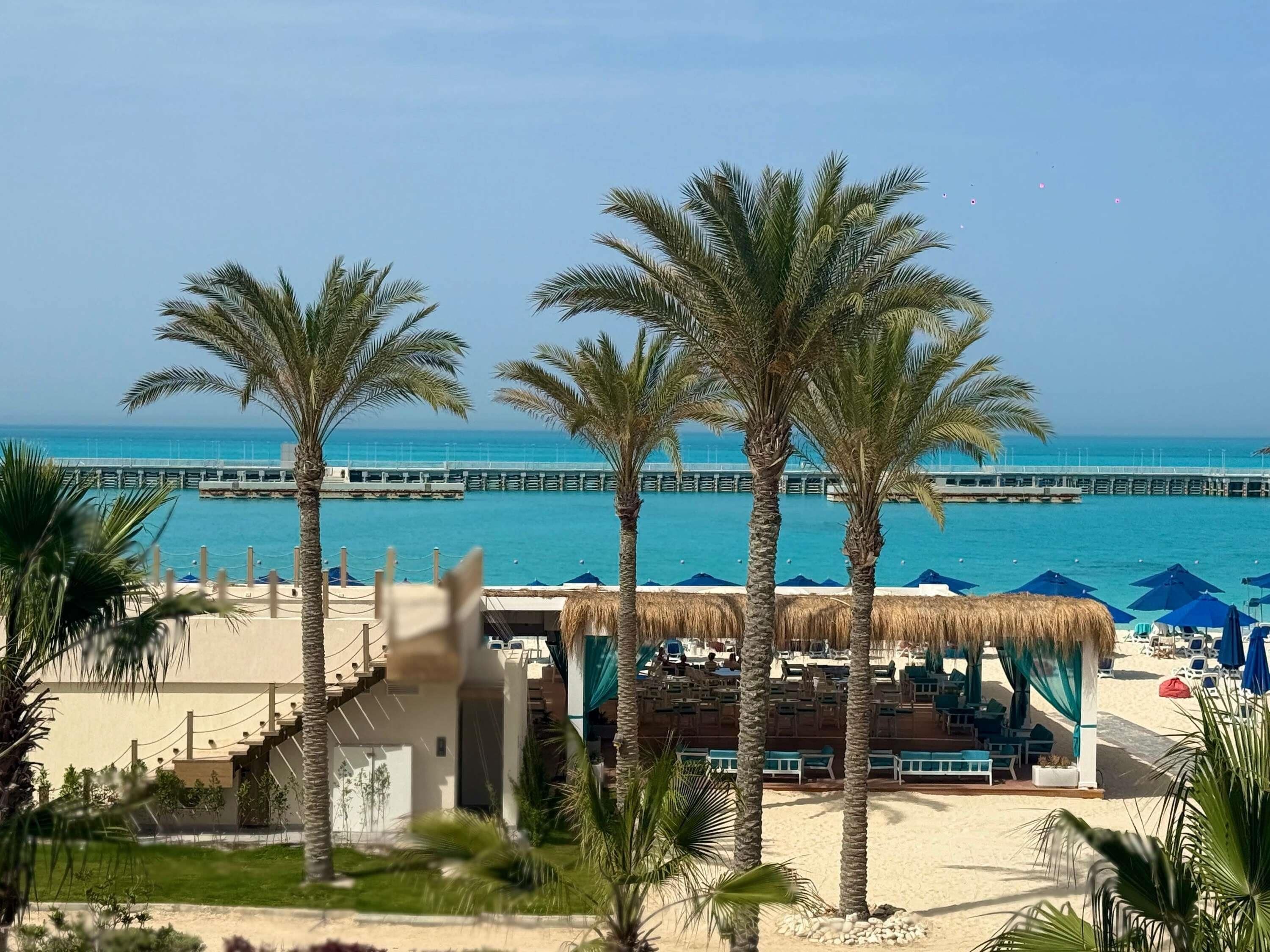 A beachside hotel with palm trees, a pier, and a pool area.