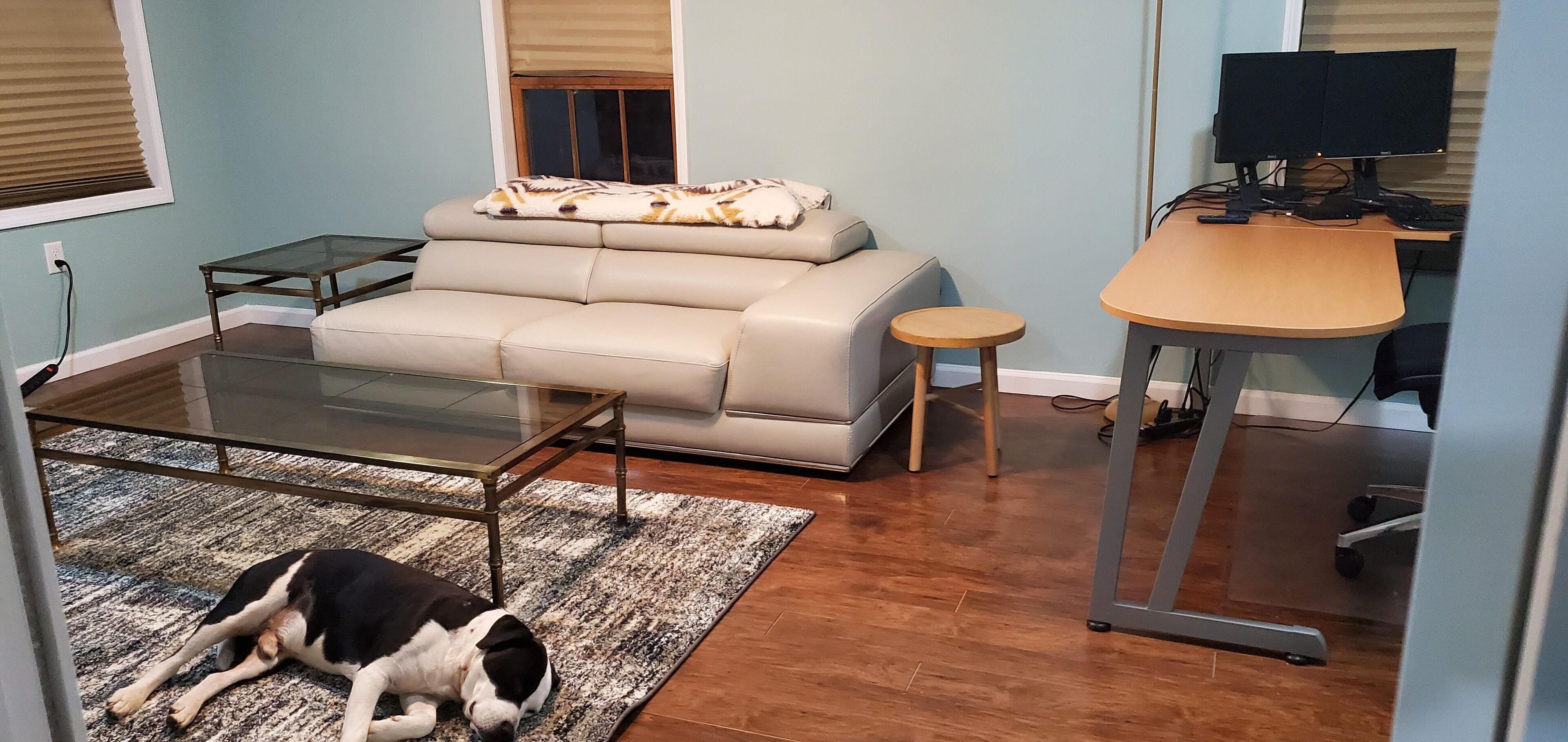 Living room (dog not included) 😀