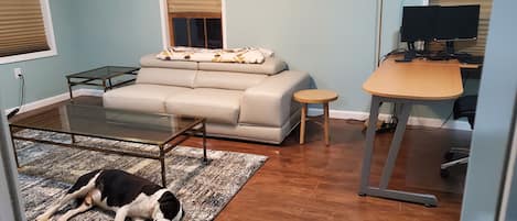 Living room (dog not included) 😀