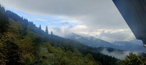 Vista desde la propiedad