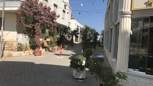 واجهة المنشأة