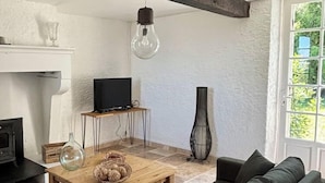 تلفزيون