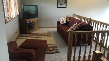 Una televisión, una chimenea, videojuegos, libros