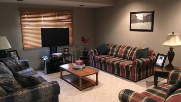 Una televisión, una chimenea, videojuegos, libros