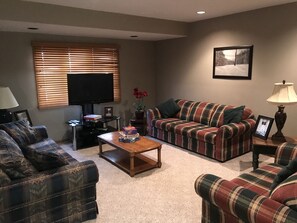 TV, fireplace, video games, books